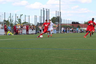 爱游戏电竞官网-荷兰队在国际赛场持续强势，晋级形势良好